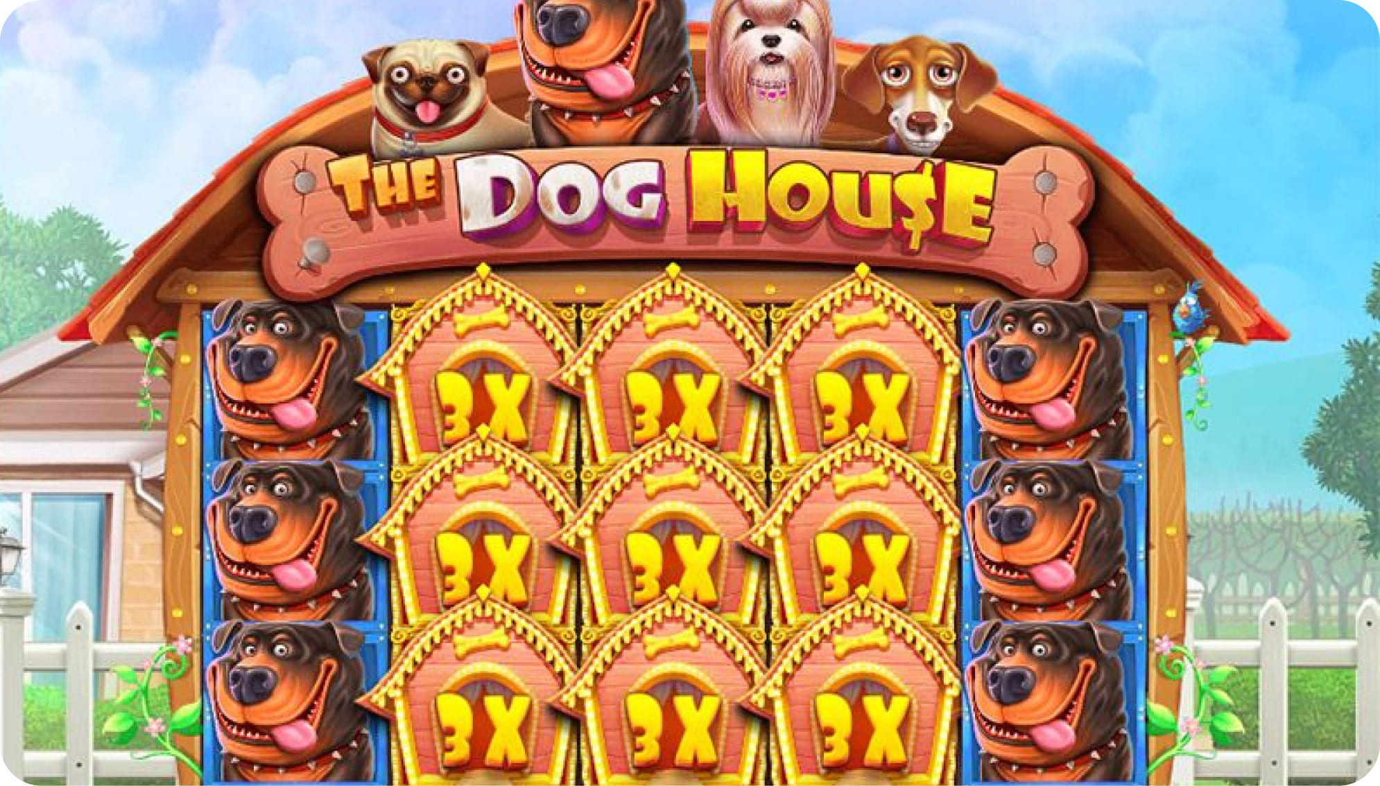 The Dog House