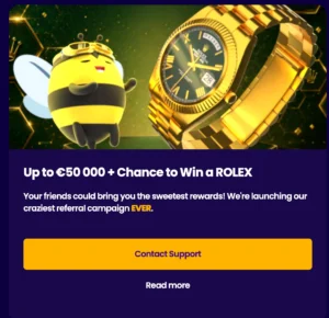 wazbee program doporucení